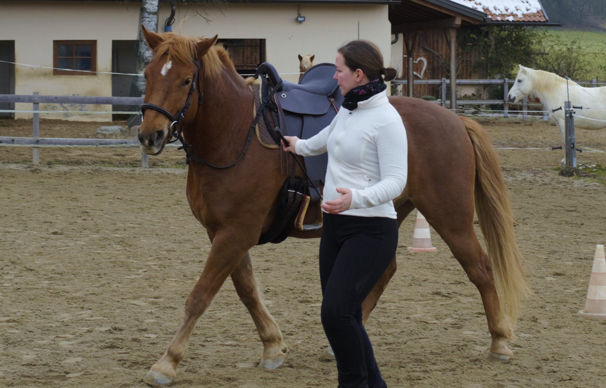 _DSC4732_Ausschnitt Patricia Herzog mit Pferd