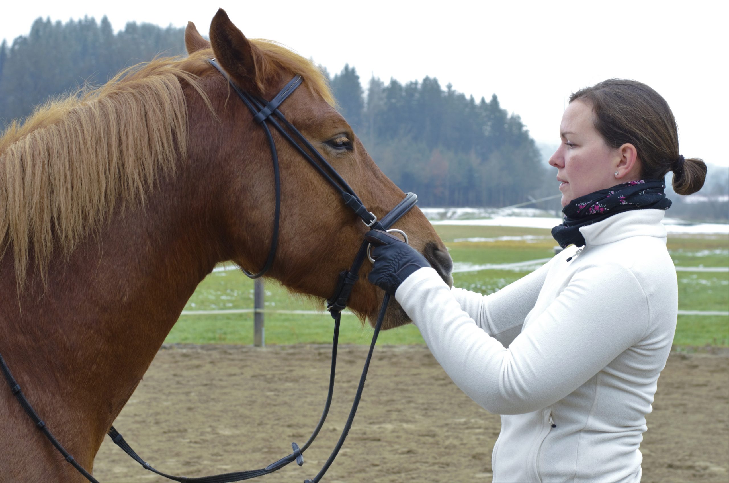 Patricia Herzog mit Pferd
